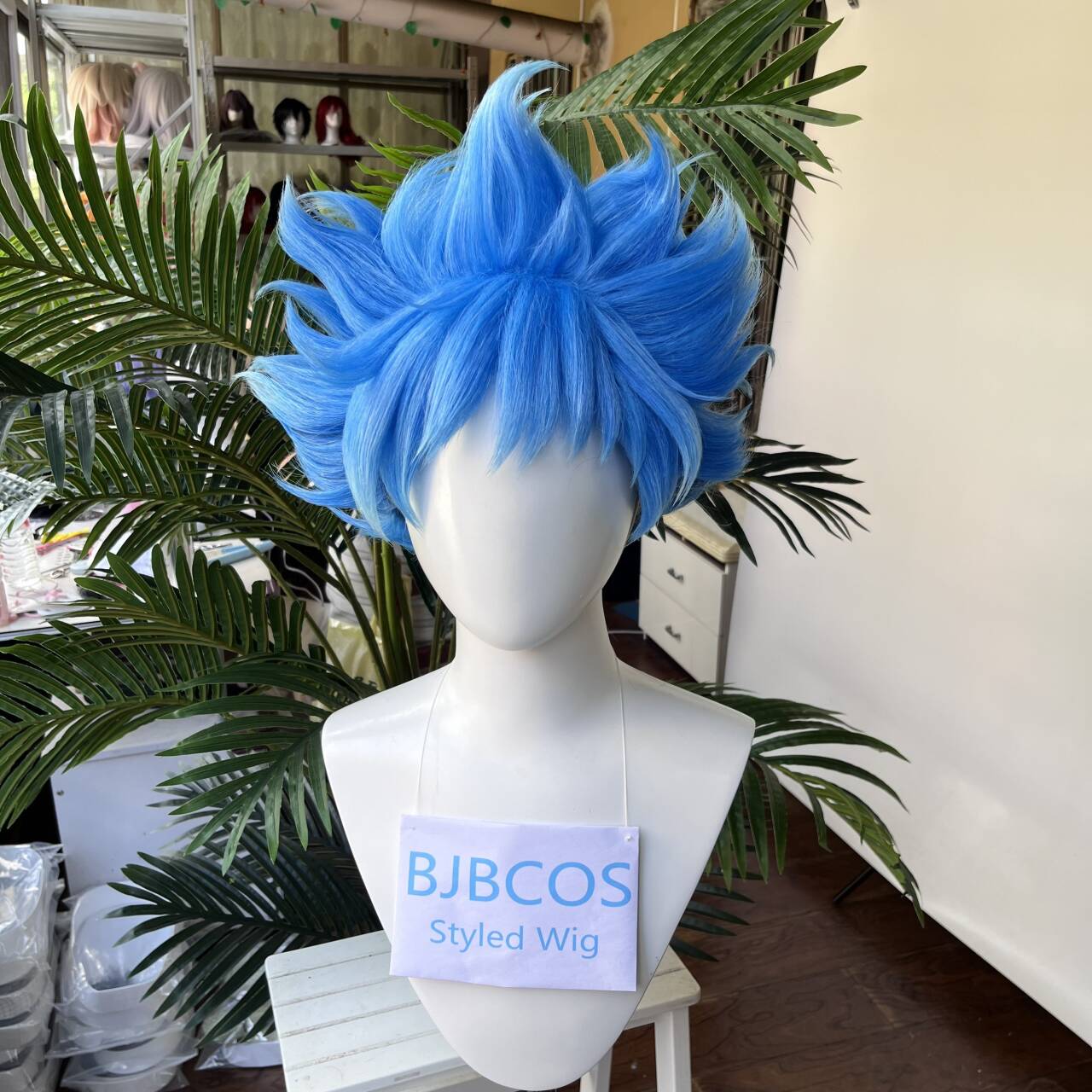 [Styled Wig]Ortho Cosplay Wig  - Men Accessories Korea review and price